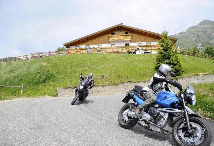 酒店 Belvedere Mountain Experience