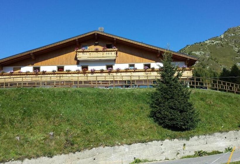 酒店 Belvedere Mountain Experience