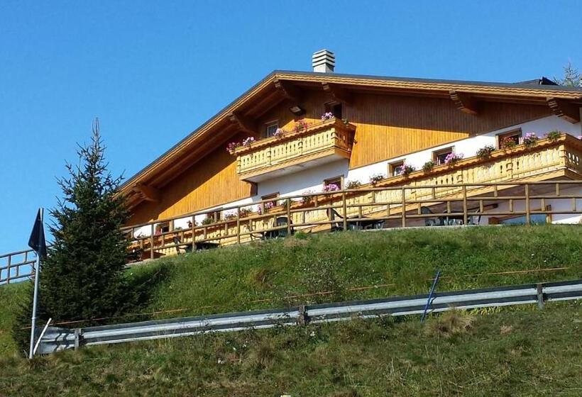 酒店 Belvedere Mountain Experience