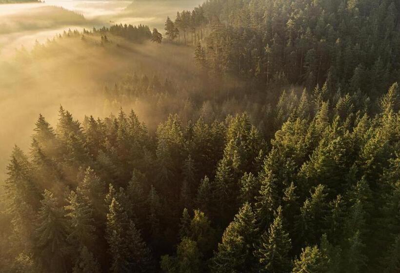 בית מלון כפרי Javor