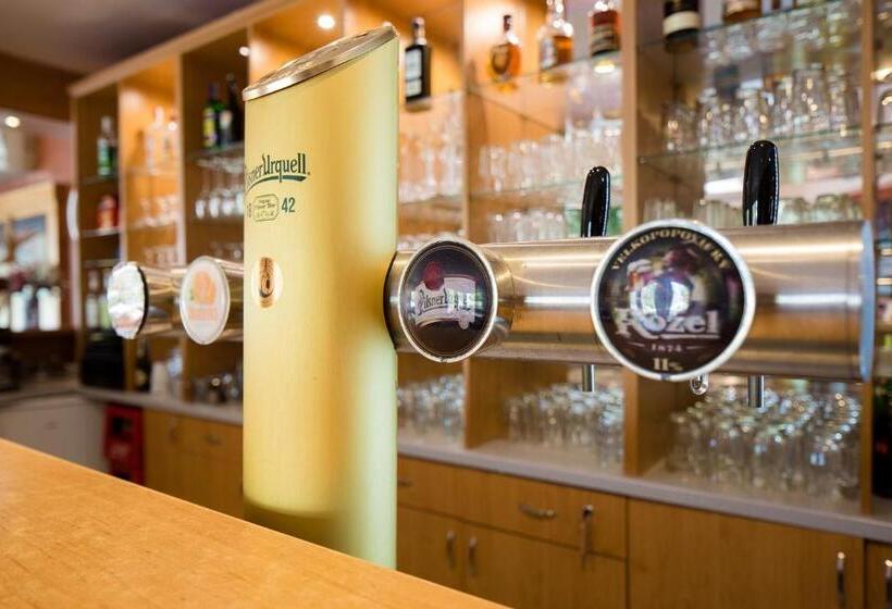 בית מלון כפרי Kobero