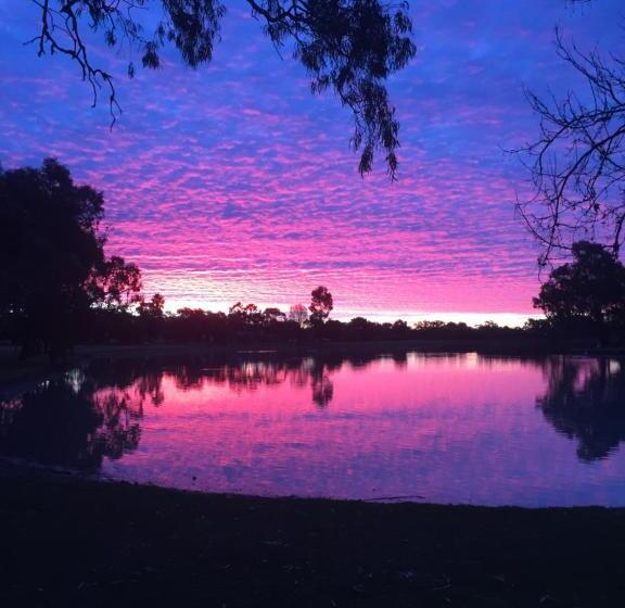 汽车旅馆  Colony Inn