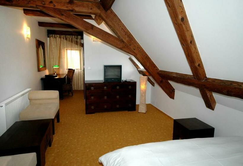 펜션 Barokni Spejchar