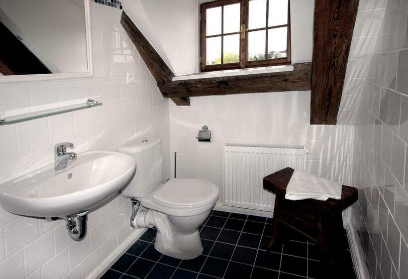 펜션 Barokni Spejchar