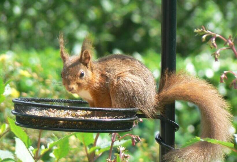 膳宿费 Forest How Guest House