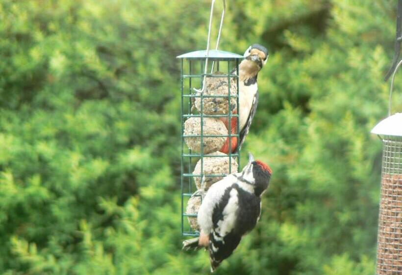 膳宿费 Forest How Guest House