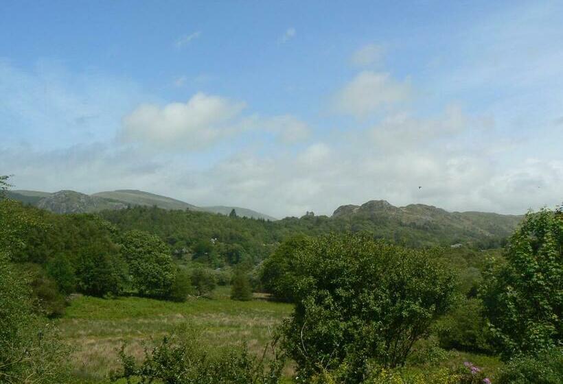 膳宿费 Forest How Guest House