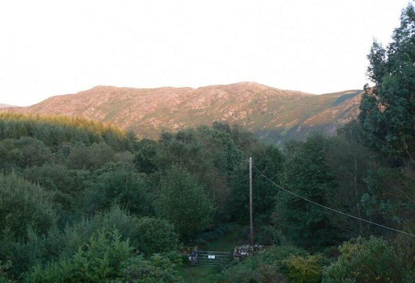 膳宿费 Forest How Guest House