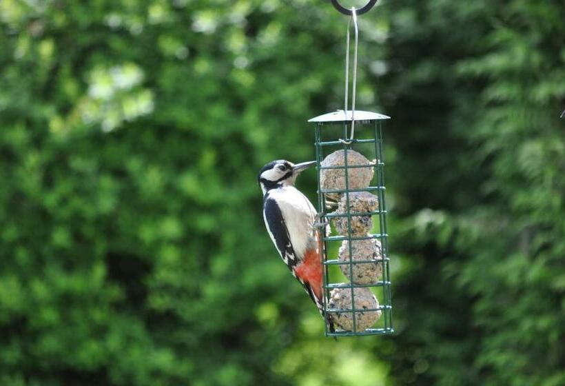 膳宿费 Forest How Guest House