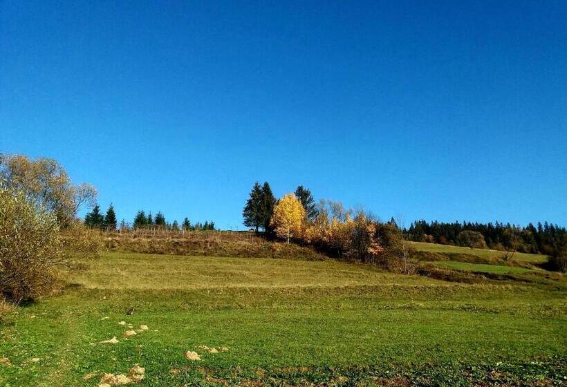 ペンション Gostynna Rodyna