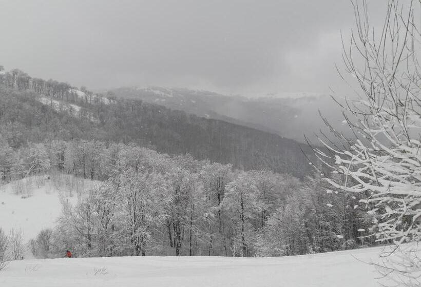 ペンション Gostynna Rodyna