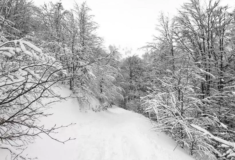 Majatalo Gostynna Rodyna