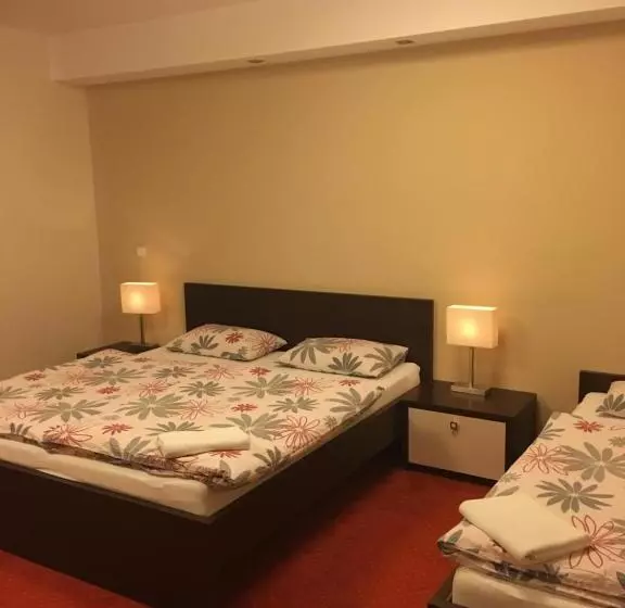 ペンション Penzion Hermina