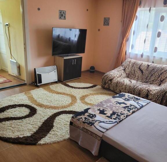 پانسیون Vila La Izvorul Putinei