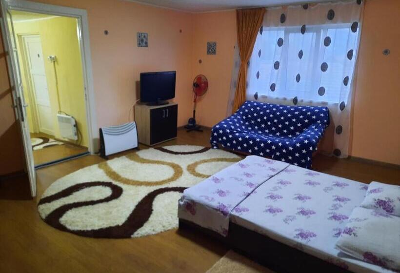 پانسیون Vila La Izvorul Putinei