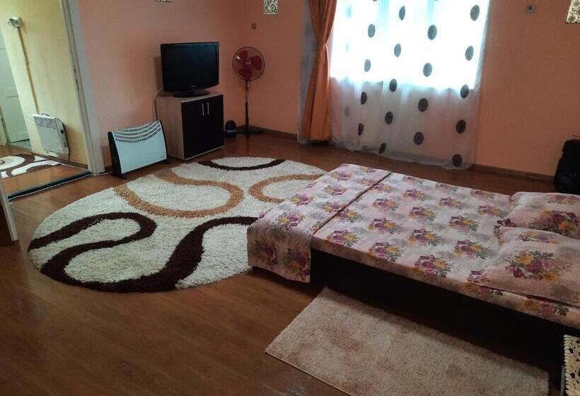 پانسیون Vila La Izvorul Putinei