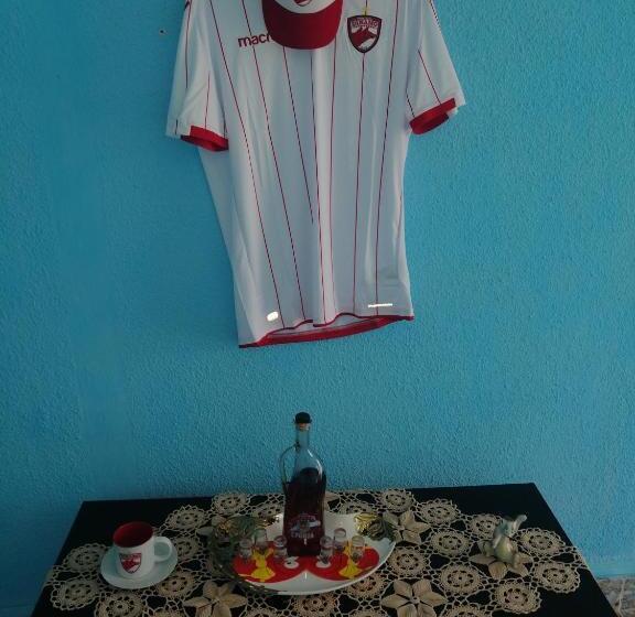 پانسیون Vila La Izvorul Putinei