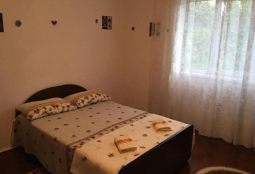 پانسیون Vila La Izvorul Putinei