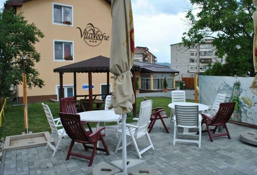 膳宿费 Vila Veche