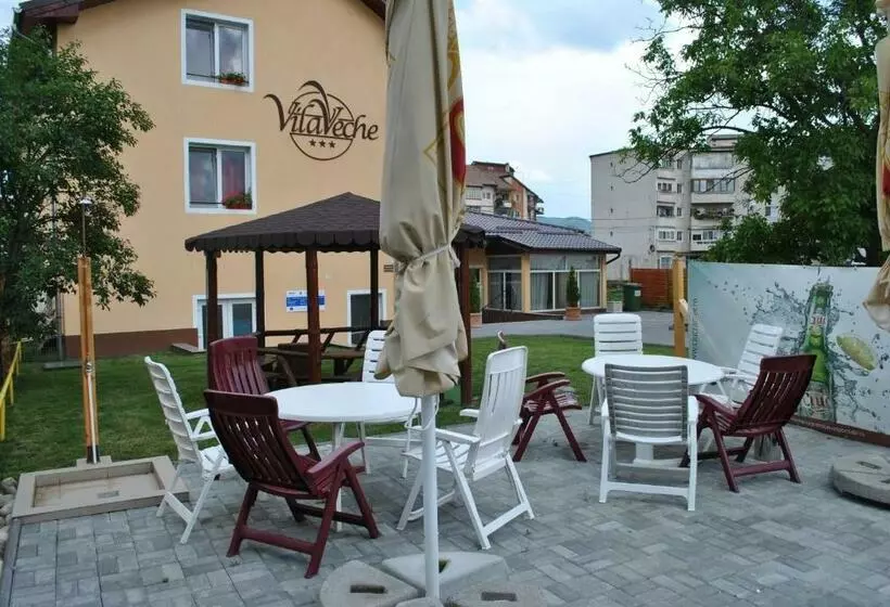 ペンション Vila Veche