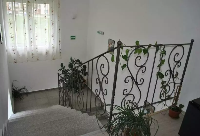 ペンション Vila Veche