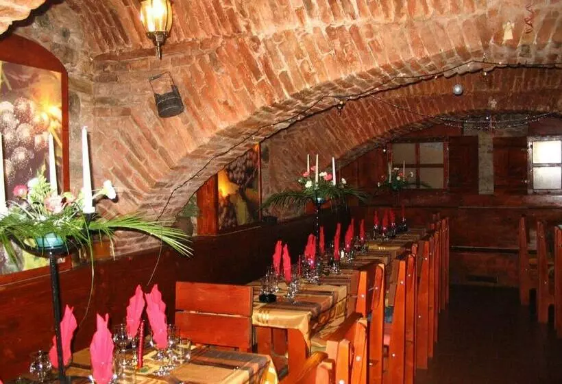 ペンション Vila Veche