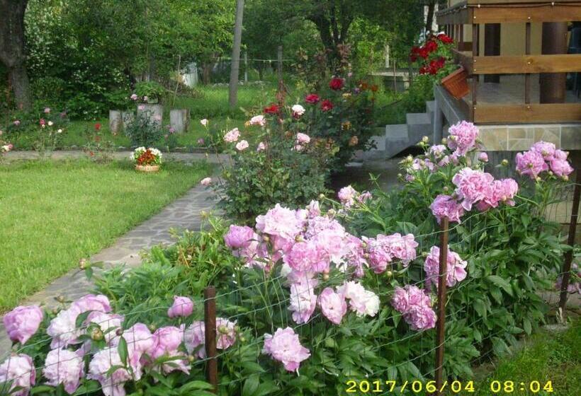 Пансион Villa Ribarica