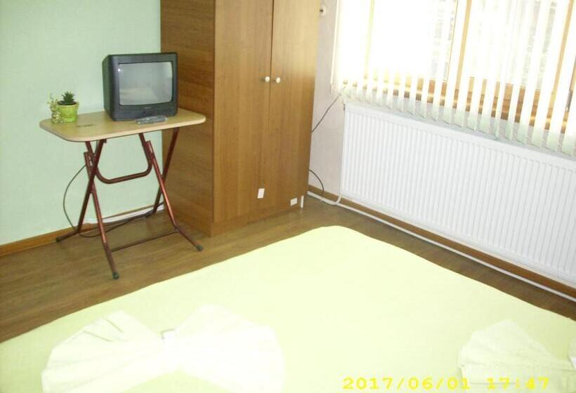 Пансион Villa Ribarica