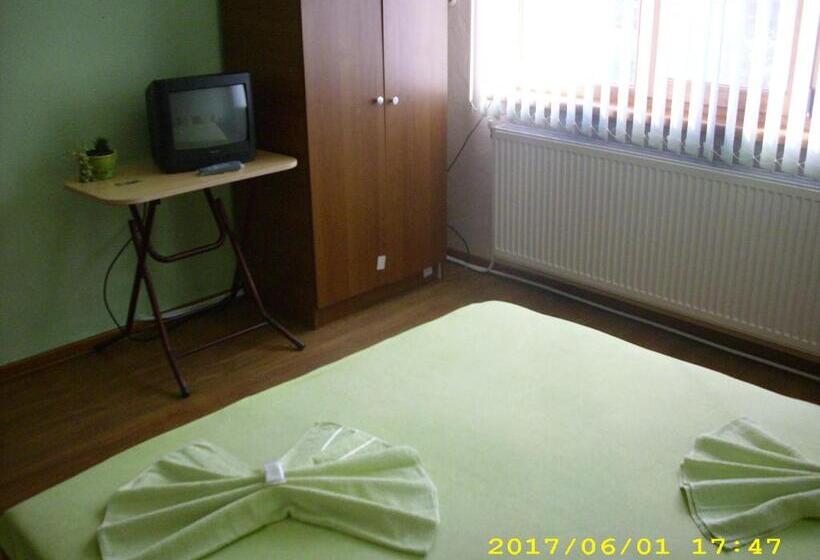 Пансион Villa Ribarica