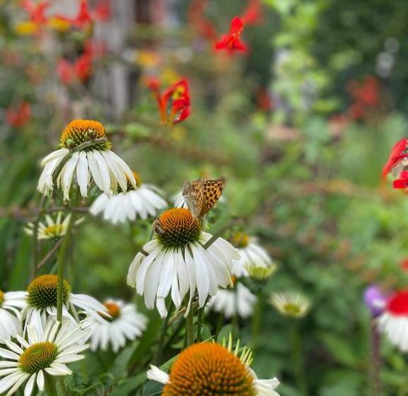 Pension Gästehaus Zum Pfälzerwald