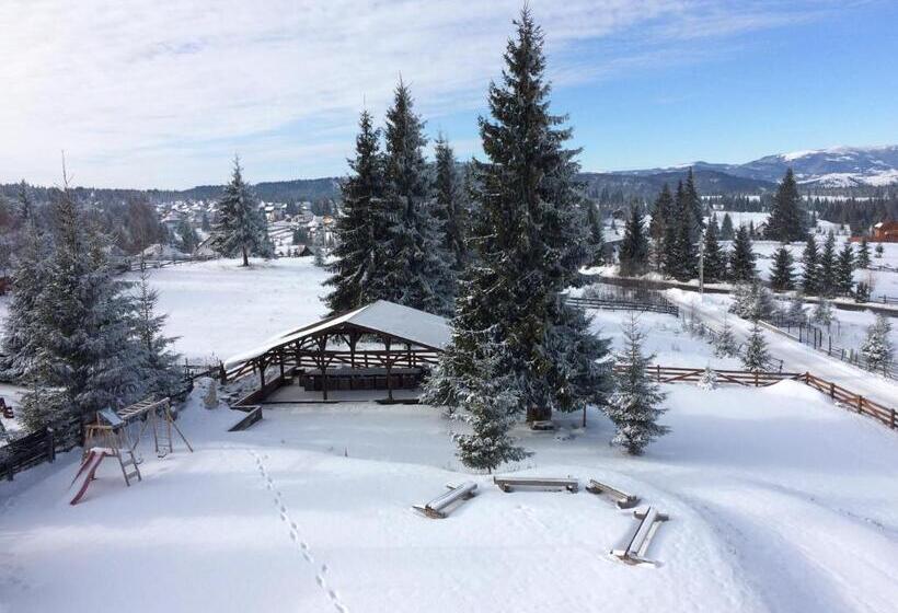 Pensiunea Colt De Rai