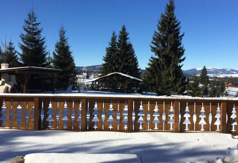 Pensiunea Colt De Rai