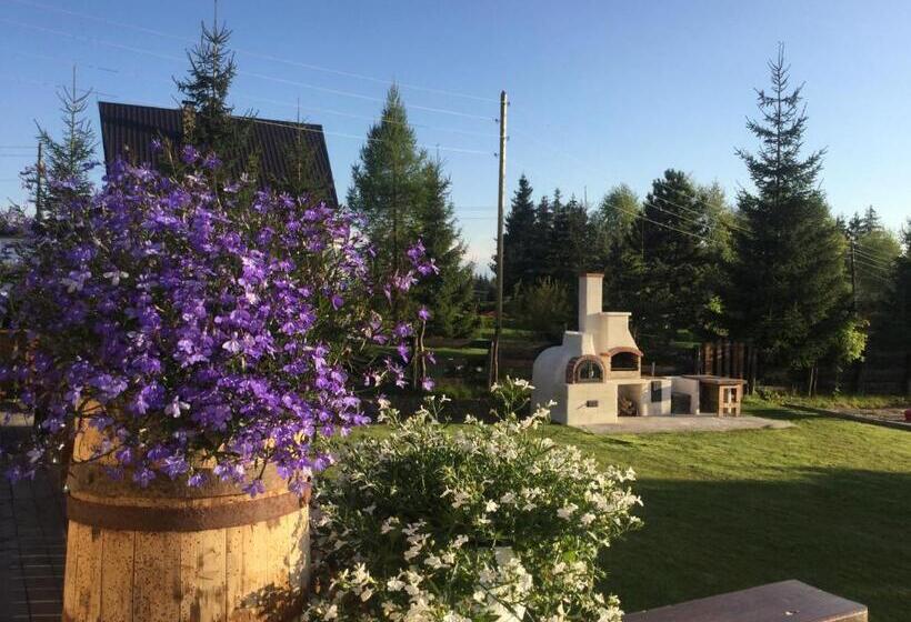 Pensiunea Colt De Rai