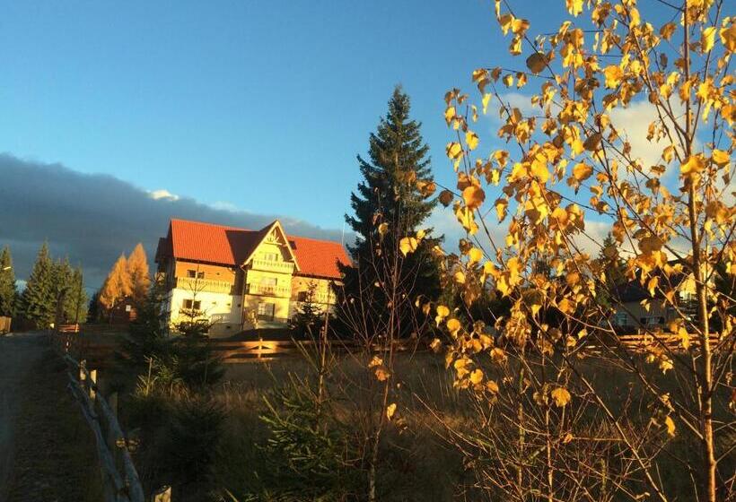 Pensiunea Colt De Rai