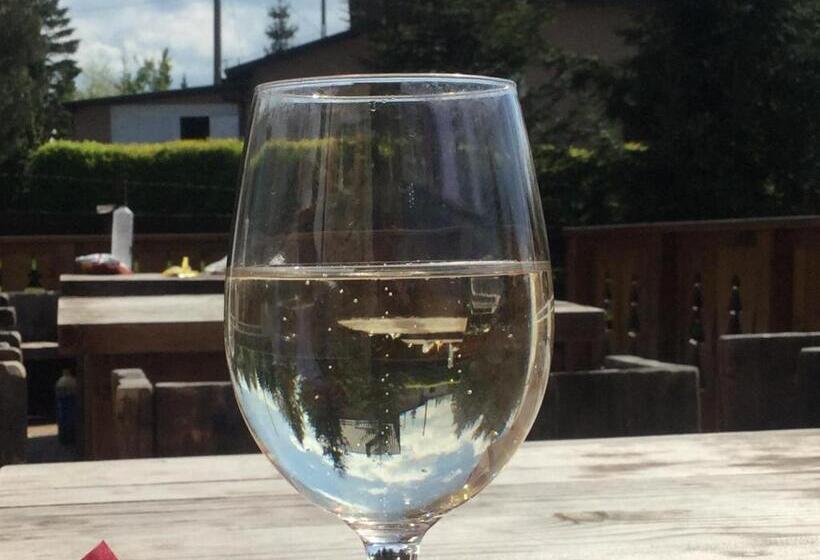 Pensiunea Colt De Rai