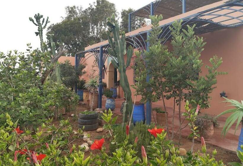 Riad Douar Des Oliviers