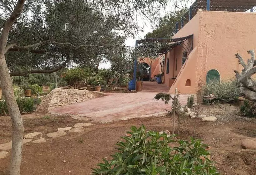 Riad Douar Des Oliviers