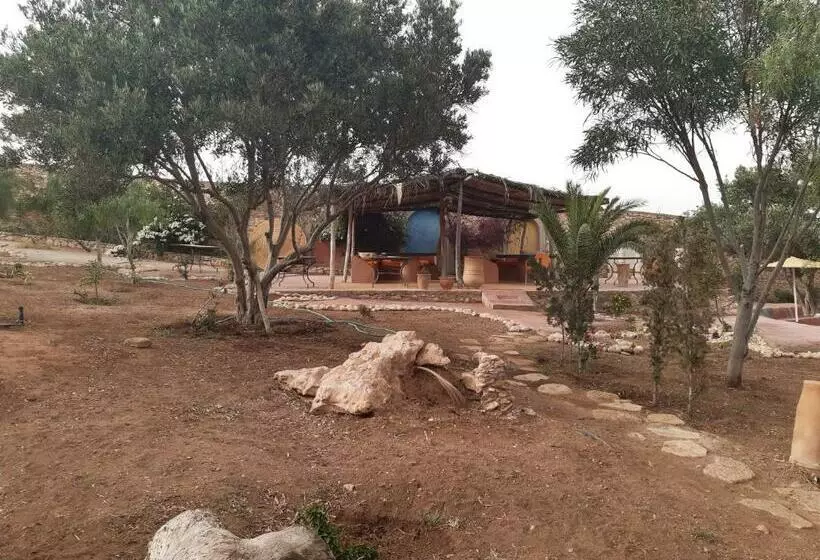 Riad Douar Des Oliviers