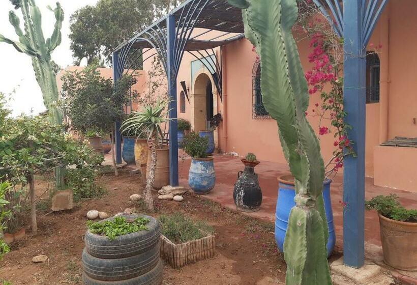 Riad Douar Des Oliviers