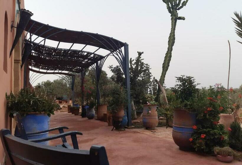 Riad Douar Des Oliviers