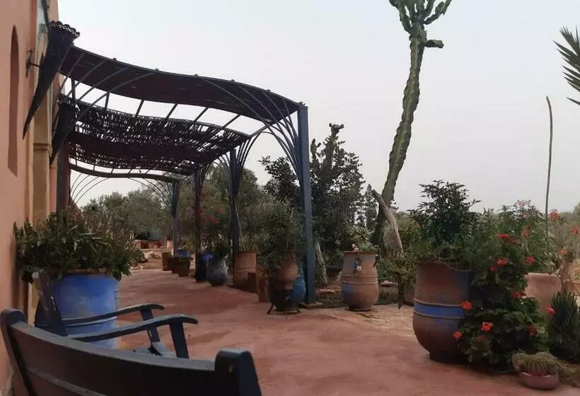 Riad Douar Des Oliviers