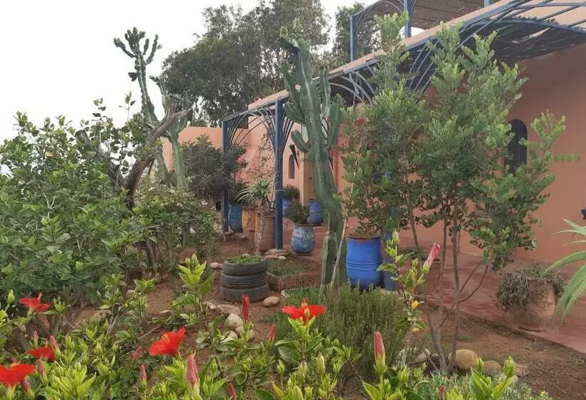 Riad Douar Des Oliviers