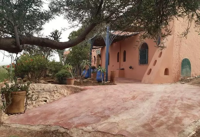 Riad Douar Des Oliviers