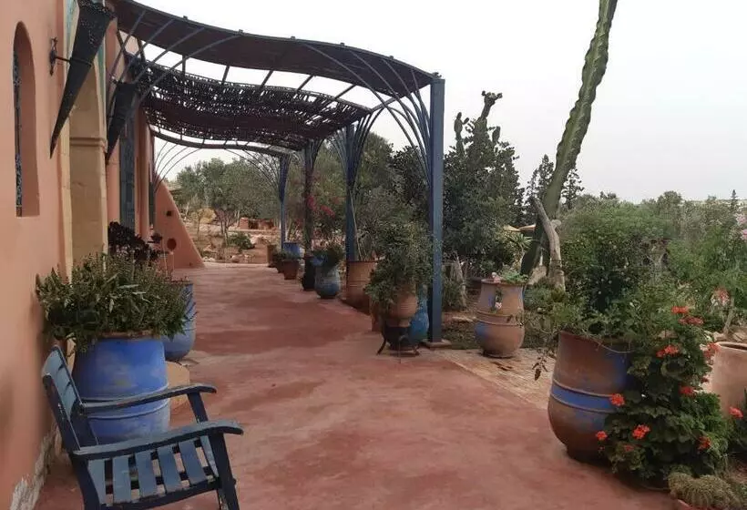 Riad Douar Des Oliviers