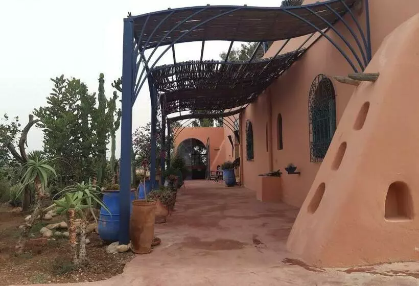 Riad Douar Des Oliviers