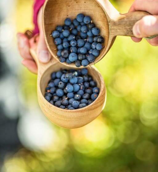 Storsätra Fjällhotell