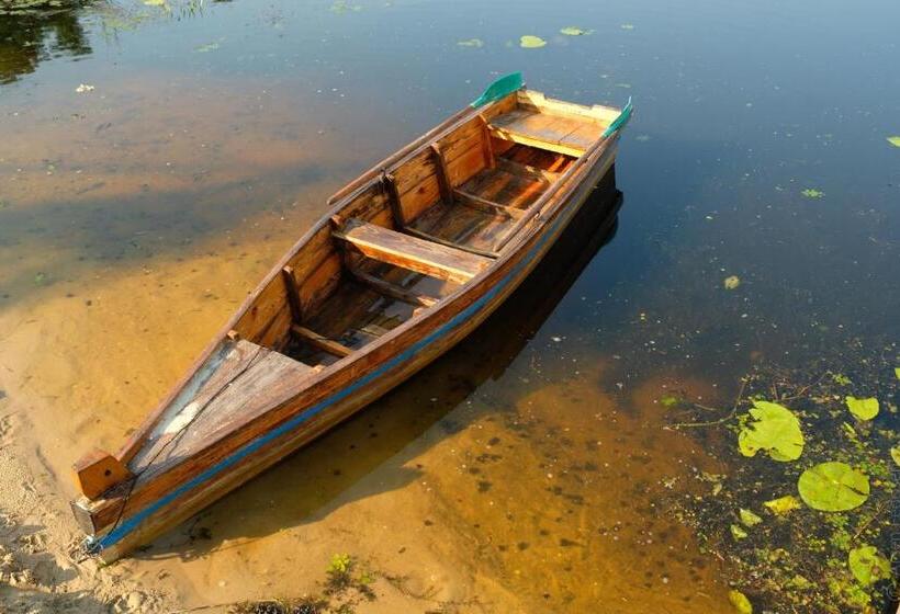 فندق صغير Black Cube