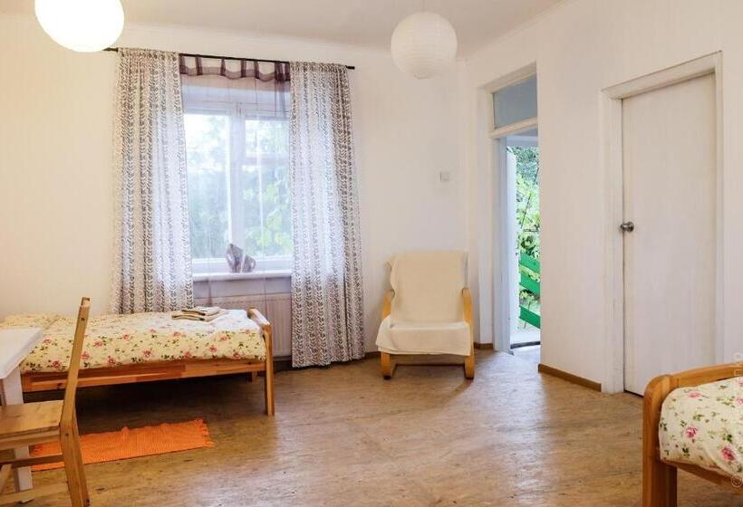 فندق صغير Black Cube