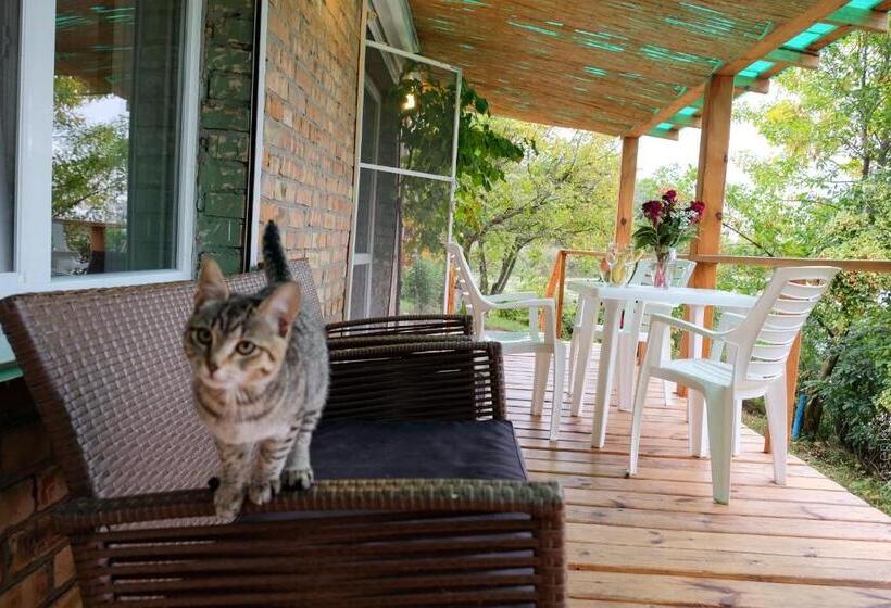 فندق صغير Black Cube