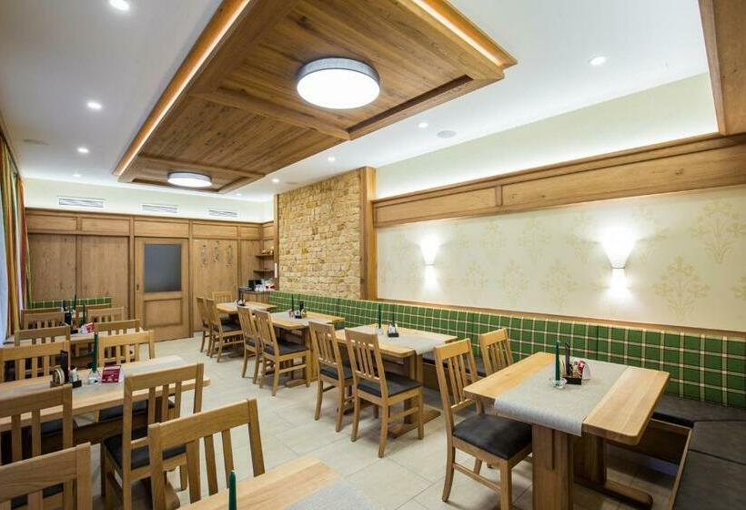 Общежитие Freiensteinerhof Superior